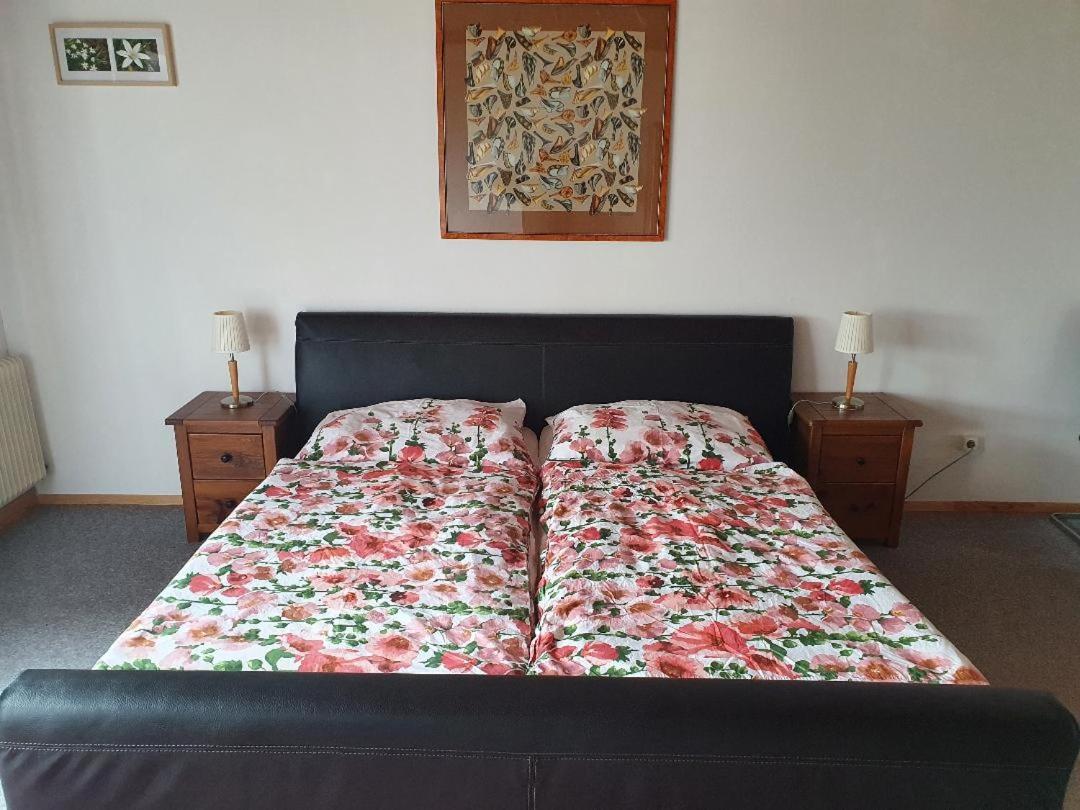 Apartment Haus Starfach デーブリアッハ エクステリア 写真
